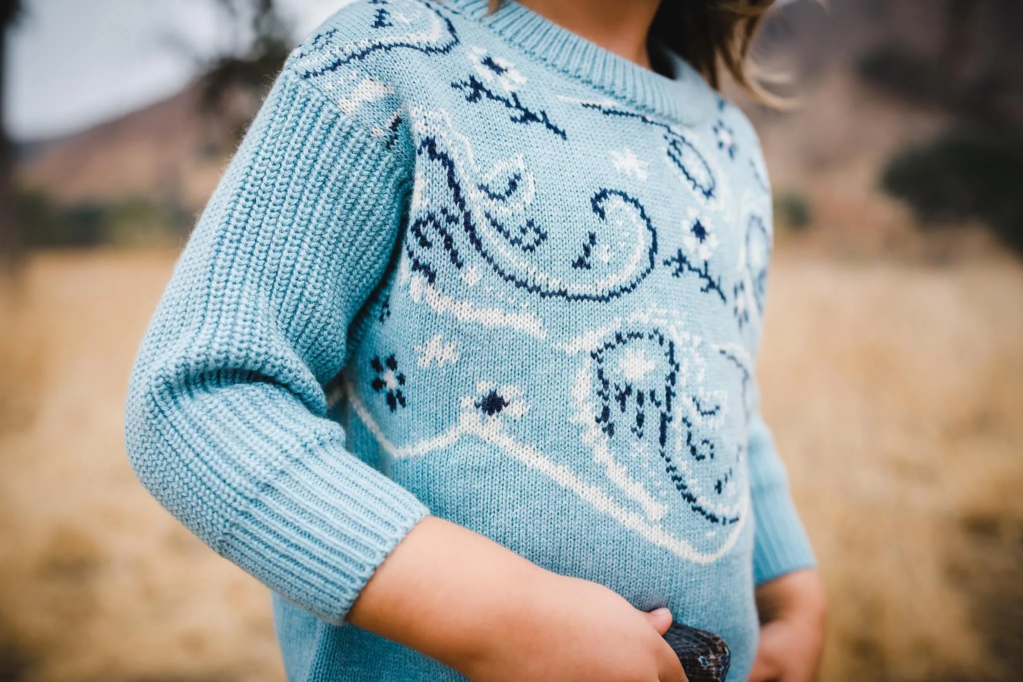 Chambray Bandana Sweater